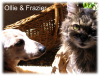 Ollie and Frazier names.png Ollie and Frazier names.png