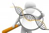 dna detective.jpg dna detective.jpg