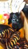 20170417_102346.jpg 20170417_102346.jpg