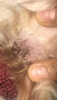 1A7CF9CD-793D-4BC0-AE31-5F0A3E174A2F.png 1A7CF9CD-793D-4BC0-AE31-5F0A3E174A2F.png