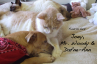 joey-mr woody-dafne-ann-blog.png joey-mr woody-dafne-ann-blog.png