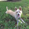 Sophie smiling in grass.JPG