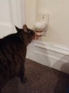 Mo sniffing Pet Remedy.jpg Mo sniffing Pet Remedy.jpg
