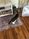 IMG_8943.jpeg IMG_8943.jpeg