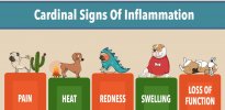IMAGE inflammation signs.jpg