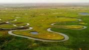 river-okavango-delta-5158380_1280.jpg