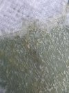 BB13467E-1D55-4091-9BC8-F9F91F6E2349.jpeg BB13467E-1D55-4091-9BC8-F9F91F6E2349.jpeg