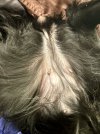 IMG_3440.jpeg IMG_3440.jpeg