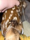 IMG_3525.jpeg