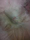 IMG_20250326_203455.jpg