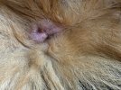 IMG_8983.jpeg