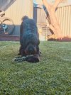 IMG-20210817-WA0000.jpg