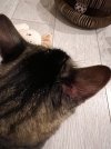 IMG_9844.jpeg IMG_9844.jpeg