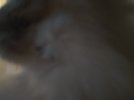IMG_20260531_213531.jpg