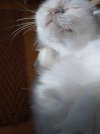IMG_20260601_183607.jpg