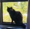 IMG_6262.jpeg IMG_6262.jpeg