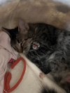IMG_6542.jpeg IMG_6542.jpeg