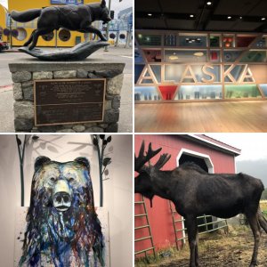 Alaskan animals
