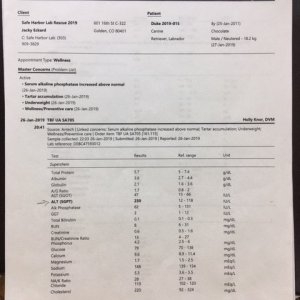 jan 2019 bloodwork page 1.JPG