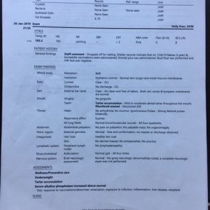 january 2019 bloodwork page 3.JPG