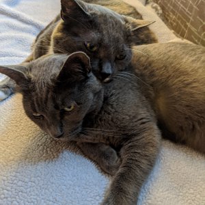 Comfort