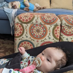 Fluff ball and her baby