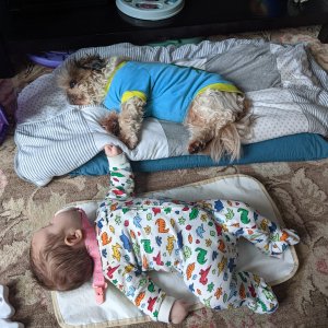 Fluff ball and baby