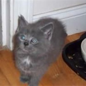 Brody as a Baby.jpeg