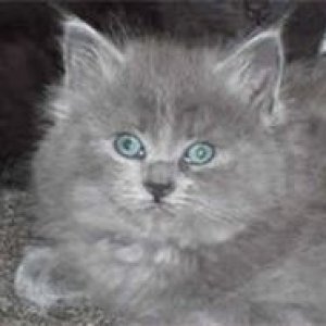 Brady as a Baby.jpeg