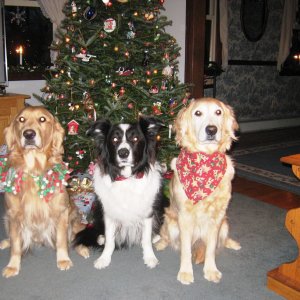 Christmas 2017