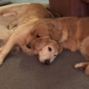 Tilly Grace and Raine