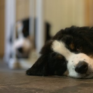 IMG_1979.jpg