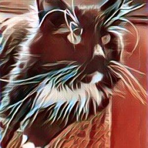 97BB3F6D-58D3-4776-AC2E-F1E39E31980F.jpeg