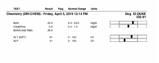 duke bloodwork 4.2019.png