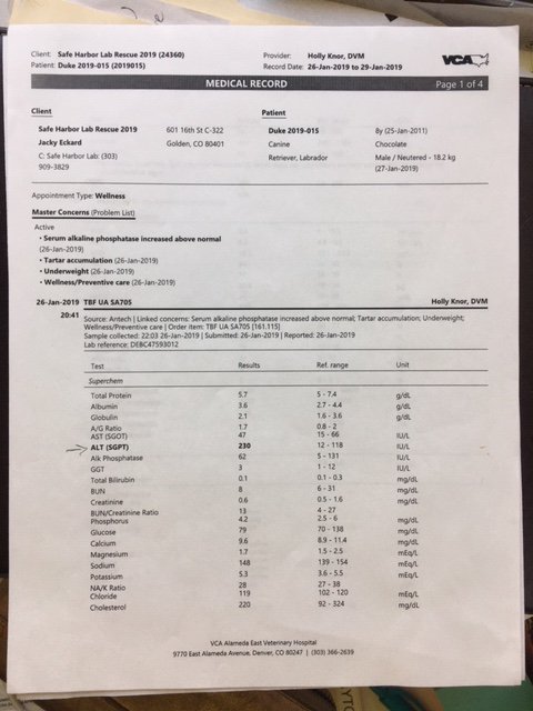 jan 2019 bloodwork page 1.JPG