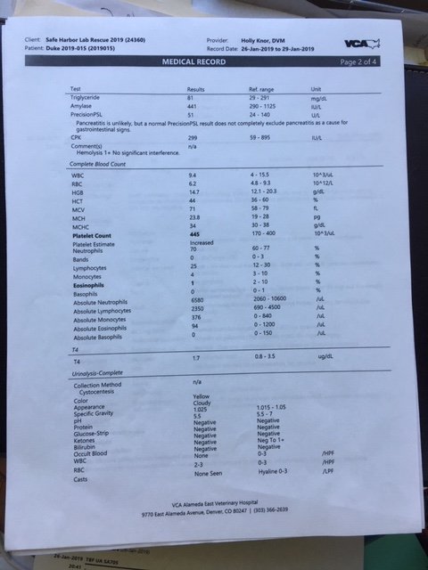 jan 2019 bloodwork page 2.JPG