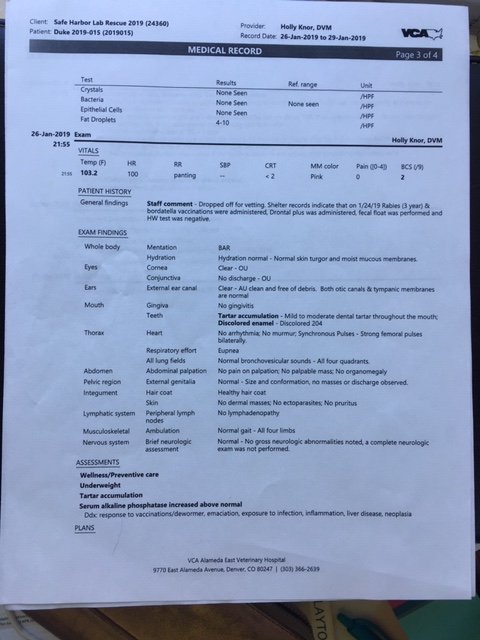 january 2019 bloodwork page 3.JPG