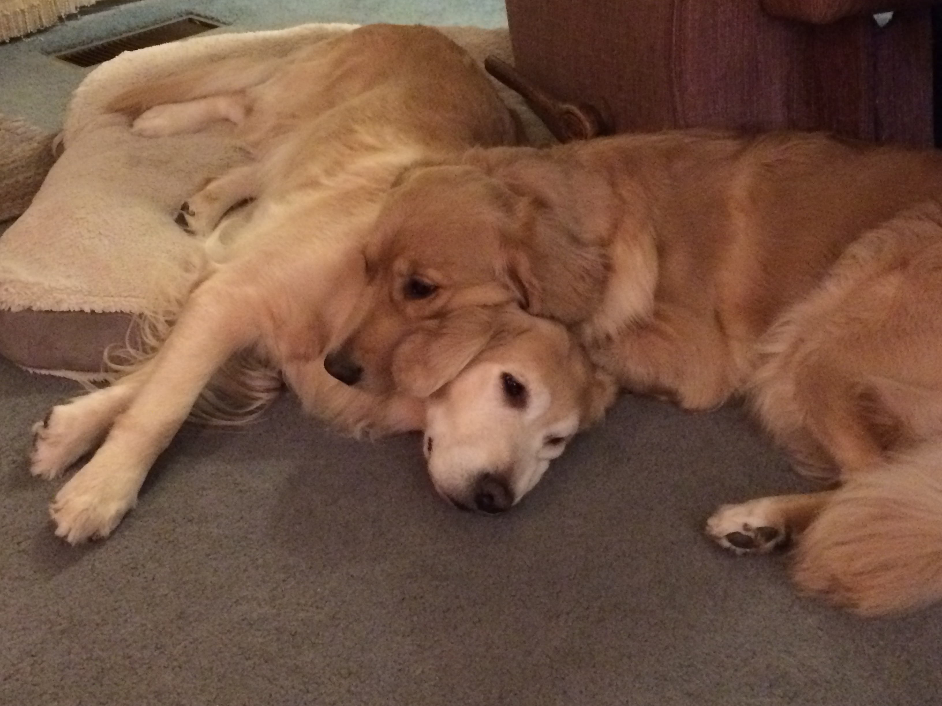 Tilly Grace and Raine