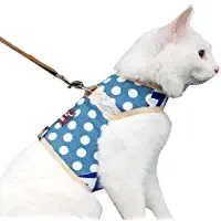 www.kittycatter.com
