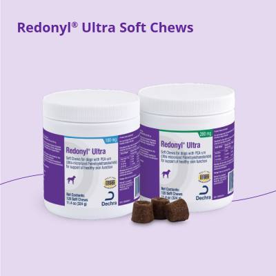 www.vetrxdirect.com