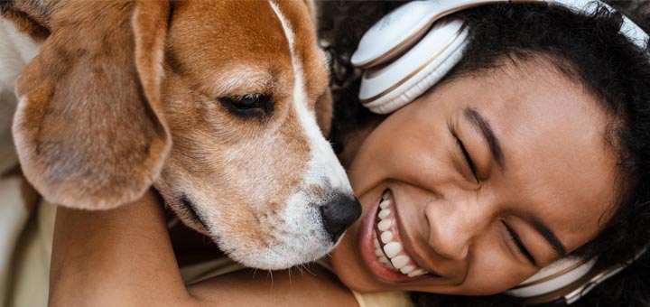 happyhealthydog.org