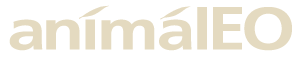www.oilyvet.com