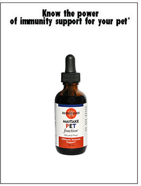 www.homevet.com