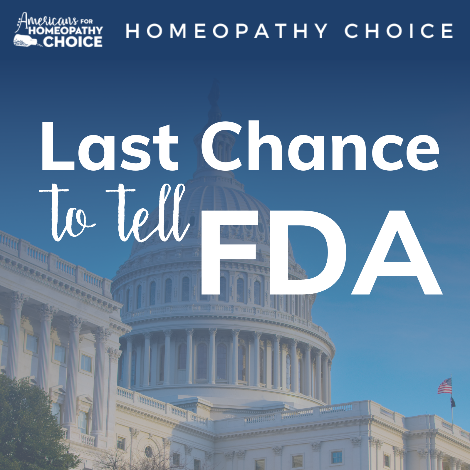 homeopathychoice.org