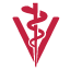 www.acvim.org