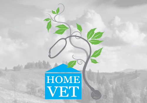 www.homevet.com