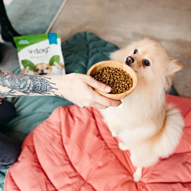 www.petage.com