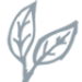 pivh.org