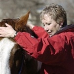 www.healingtouchforanimals.com