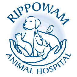 www.rippowamanimalhospital.com